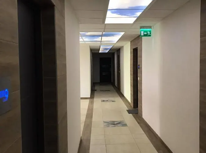 Oasis *
